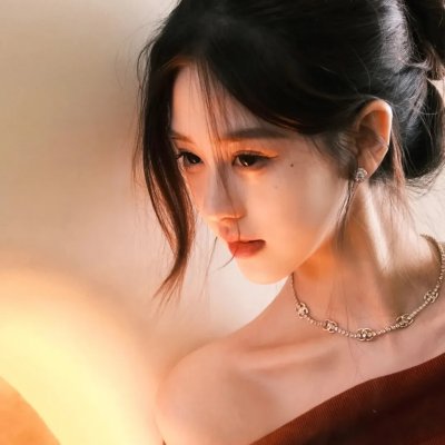 追影行动