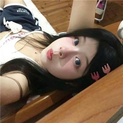 胡同猫